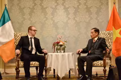 Secretary of the Communist Party of Vietnam (CPV) Central Committee and head of its Commission for External Relations Le Hoai Trung (right) meets Communist Party of Ireland International Secretary Graham Harrington on October 3. (Photo: VNA)