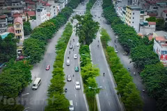 Photo1: Urban green transition is not merely a trend—it is a necessity for creating liveable, resilient and sustainable urban environments for future generations. (Photo: VietnamPlus)