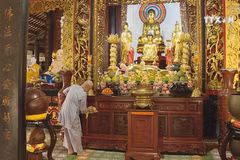 Spring arrives at ancient pagodas