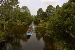Untouched beauty of Lung Ngoc Hoang Nature Reserve