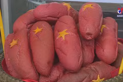 Banh mi spreads the love during difficult times