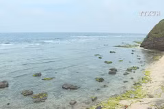 Quang Ngai expects to welcome over 1.2 million visitors in 2020