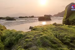 Nam O Reef in Da Nang draws visitors in the spring