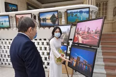 Art exhibition bridges Vietnam and Egypt