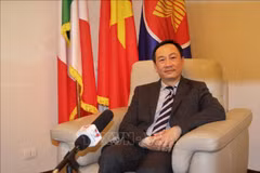 Vietnam-Vatican relations see positive progress: Ambassador