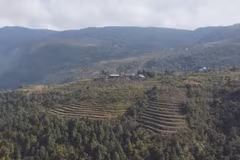 Vietnam earns 51.5 mln USD from first forest carbon credit sale