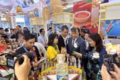 Vietnam Expo introduces domestic products to world