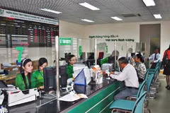 Vietnamese banks to improve gradually in 2017: Fitch