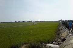 Military aircraft crashes during training session 