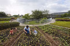 Vietnamese kindergarten’s design draws plaudits