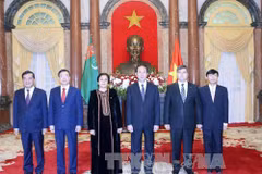 President meets newly-accredited foreign ambassadors