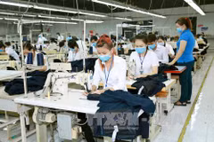 EU enterprises positive on Vietnam’s business climate 