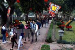 Tourism industry sees good signs in new year 