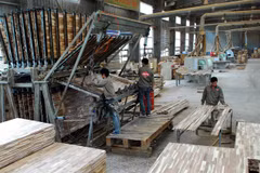 Minister: TPP or not, Vietnam continues integration