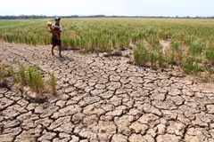 Cambodia launches water distribution campaign to drought –hit people