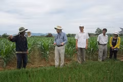 Agricultural centre to offer more support