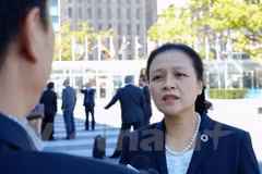 Vietnam calls on UN to heed respect for international law 