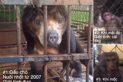 Wild sun bear, monkeys saved in Dak Lak