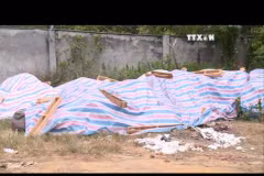 Environmental protection violations to attract 89,000 USD fine