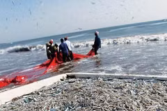 Thailand signs IUU combating agreement with EU, ILO 