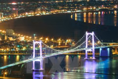 Singaporean firms keen on Da Nang market