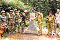 Vietnamese, Lao localities promote village-level twinning ties 