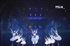 The Nutcracker to be staged in Ho Chi Minh City