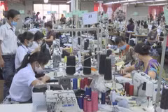 FDI disbursement at record high in 2016