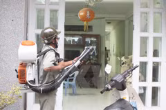 HCM City develops Zika infection treatment process 