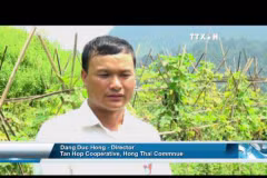 Model of safe vegetables to change remote commune