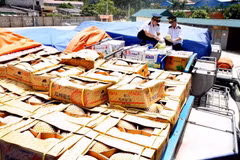 Tarriff exemptions for Chinese, ASEAN goods 