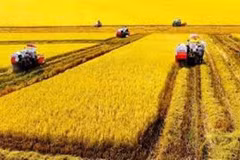 Ministry encourages focus on agricultural machinery 