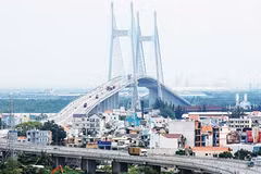 Expats help HCM City tap human resources potential