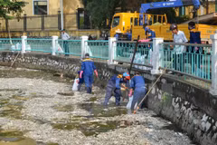 Guidelines for environmental impact assessment debated