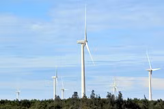 Expert: Law on renewable energy needed