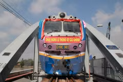 Dong Nai: New Ghenh bridge officially inaugurated 