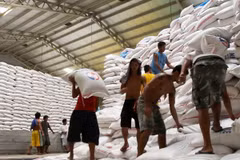 Philippines to import more rice from Vietnam 