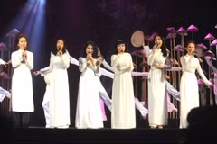 Vietnamese art show in Japan to explore peace