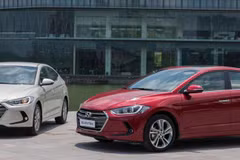 Domestic auto: opportunities and challenges 