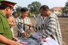 More than 4,000 prisoners get amnesty