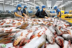 US approves two more Vietnamese catfish firms