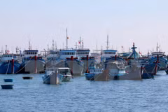 Island fishermen reap profits from decree on fishing development