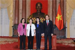 Vice President takes over Chair of NFVC