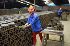 Small- and medium-sized enterprises need more attention