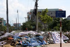 Solutions to waste disposal problem in rural areas proposed