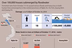 Widespread flood ravages central provinces