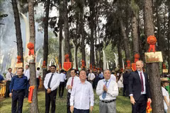 The "Friendship Pine Garden" is at Suoi Tien tourist area in Thu Duc. (Photo: VNA)
