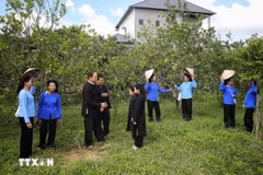Meritorious artist Lam Minh Sap (right) and members of the San Chi folk song club practice singing San Chi folk songs. (Photo: VNA)
