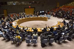 Vietnam’s contributions as a non-permanent member of UNSC