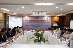 Vietnam, Laos enhance cooperation in social security